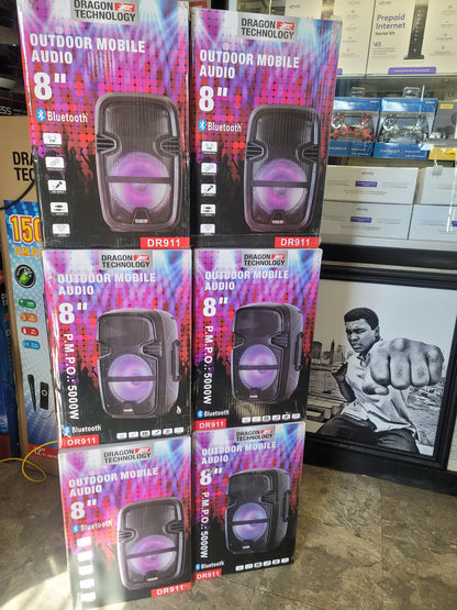 8" 2500 watt Karaoke speaker