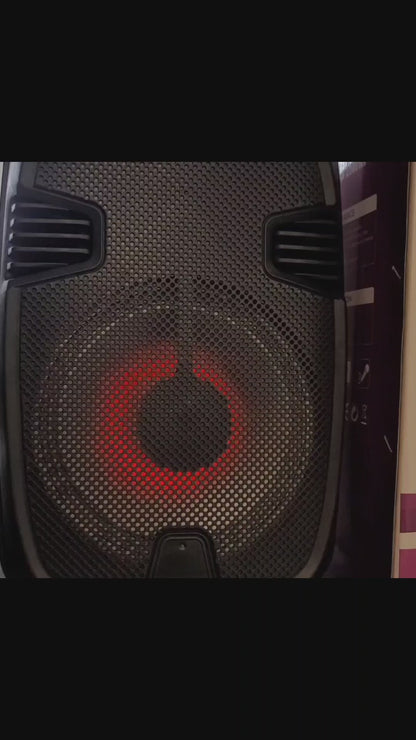 8" 2500 watt Karaoke speaker